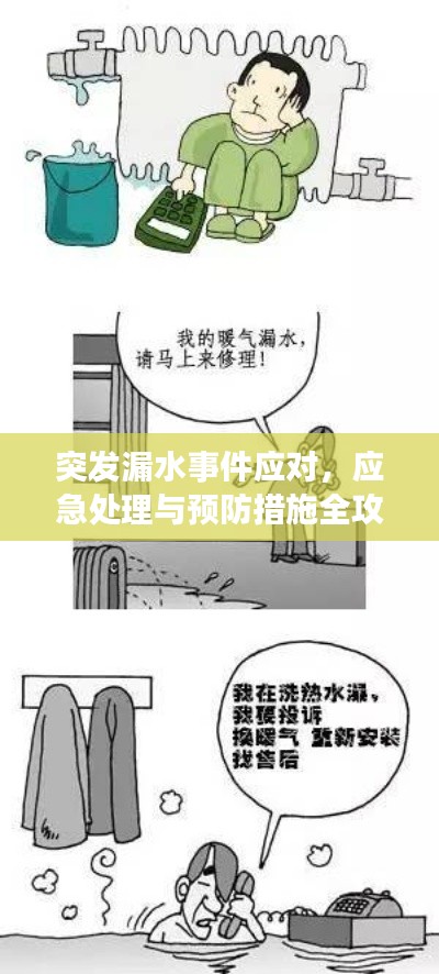 突发漏水事件应对,应急处理与预防措施全攻略