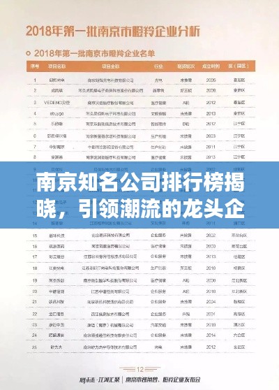 一花独放 第5页