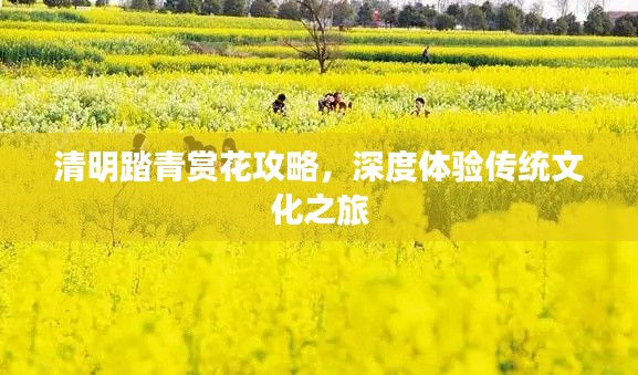 清明踏青赏花攻略,深度体验传统文化之旅