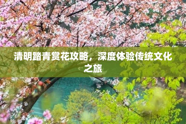 清明踏青赏花攻略,深度体验传统文化之旅