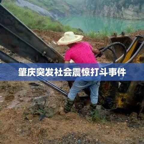 肇庆突发社会震惊打斗事件