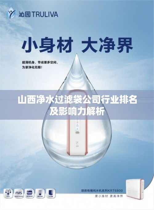 山西净水过滤袋公司行业排名及影响力解析