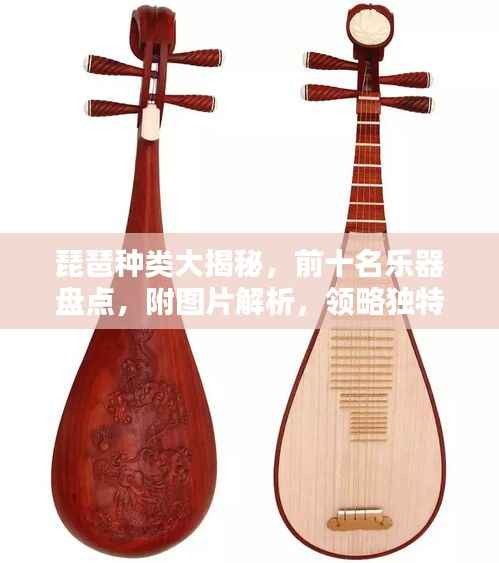 琵琶种类大揭秘,前十名乐器盘点,附图片解析,领略独特音色与风格!