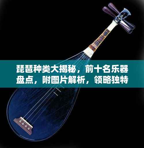 琵琶种类大揭秘,前十名乐器盘点,附图片解析,领略独特音色与风格!