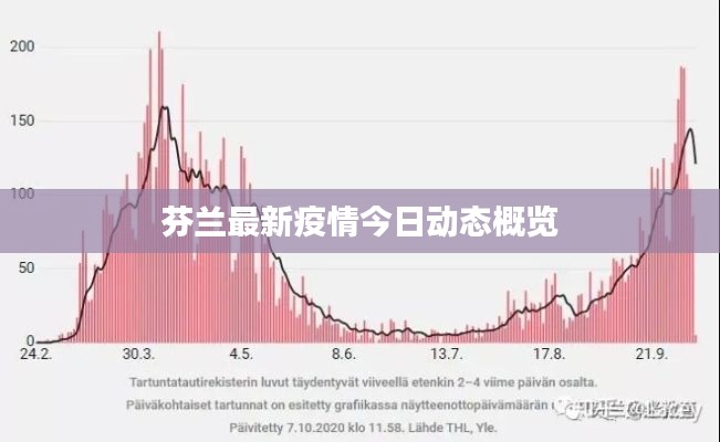 芬兰最新疫情今日动态概览