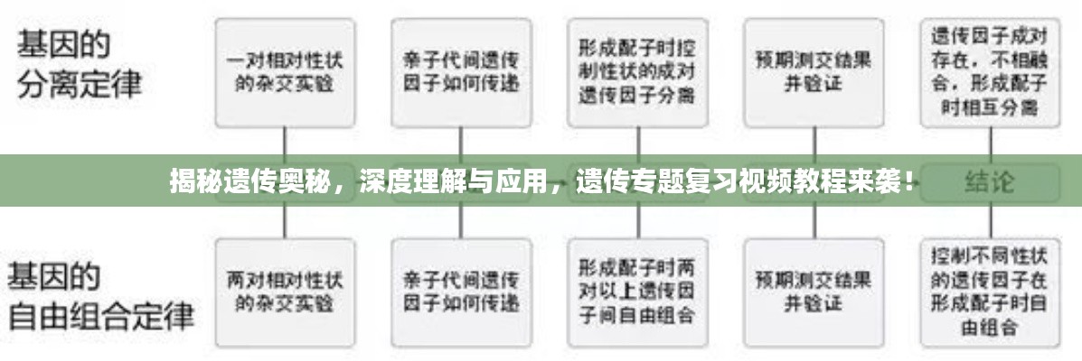揭秘遗传奥秘,深度理解与应用,遗传专题复习视频教程来袭!