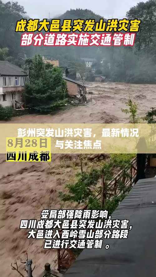 彭州突发山洪灾害,最新情况与关注焦点