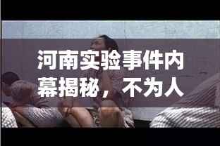 河南实验事件内幕揭秘,不为人知的真相!