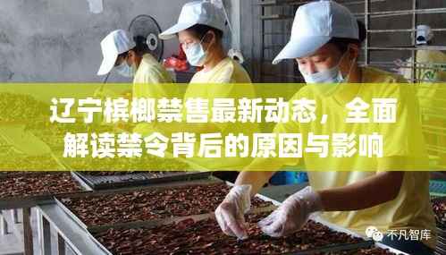 辽宁槟榔禁售最新动态,全面解读禁令背后的原因与影响