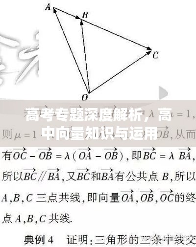 高考专题深度解析,高中向量知识与运用