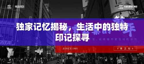 独家记忆揭秘,生活中的独特印记探寻