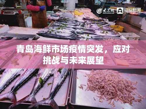 青岛海鲜市场疫情突发,应对挑战与未来展望