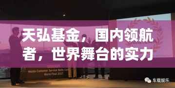 天弘基金，国内领航者，世界舞台的实力展现