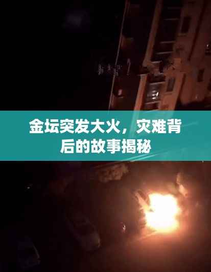 金坛突发大火,灾难背后的故事揭秘