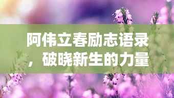 阿伟立春励志语录,破晓新生的力量,激发无限潜能!