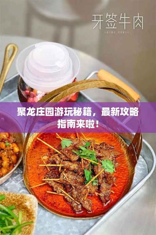 聚龙庄园游玩秘籍,最新攻略指南来啦!