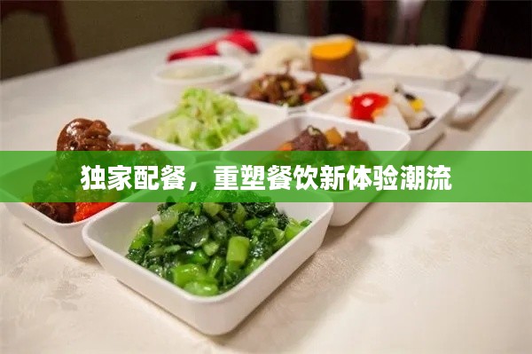 独家配餐,重塑餐饮新体验潮流