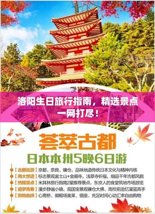 洛阳生日旅行指南，精选景点一网打尽！