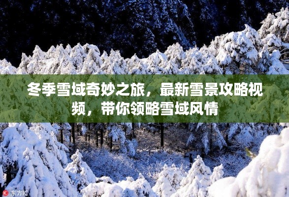 冬季雪域奇妙之旅,最新雪景攻略视频,带你领略雪域风情