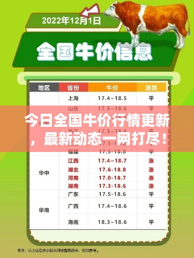 今日全国牛价行情更新,最新动态一网打尽!