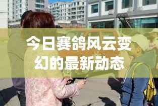今日赛鸽风云变幻的最新动态
