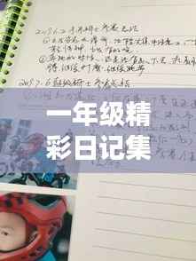 一年级精彩日记集锦,生活中的点滴回忆