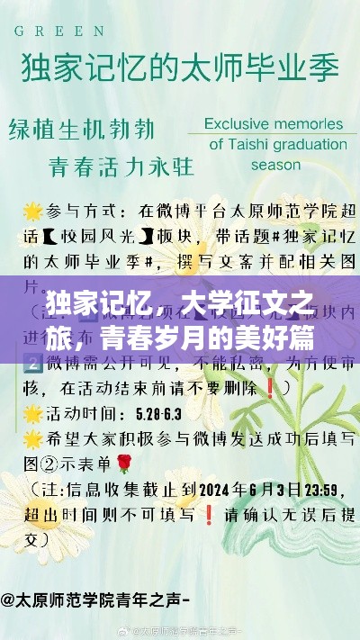 独家记忆,大学征文之旅,青春岁月的美好篇章