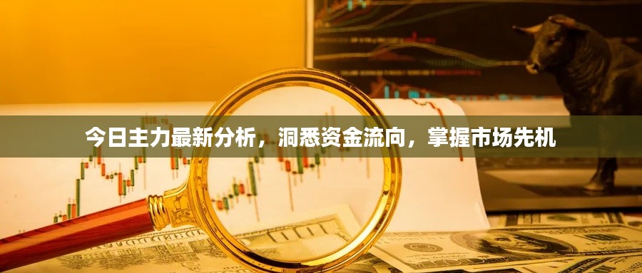 今日主力最新分析,洞悉资金流向,掌握市场先机