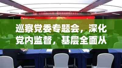巡察党委专题会,深化党内监督,基层全面从严治党再推进