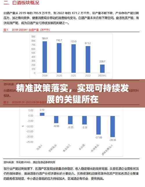 精准政策落实，实现可持续发展的关键所在