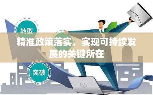 精准政策落实,实现可持续发展的关键所在