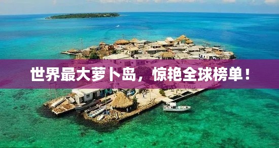 世界最大萝卜岛,惊艳全球榜单!