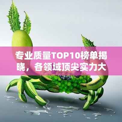 专业质量TOP10榜单揭晓，各领域顶尖实力大揭秘！