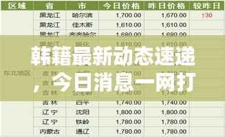 韩籍最新动态速递,今日消息一网打尽