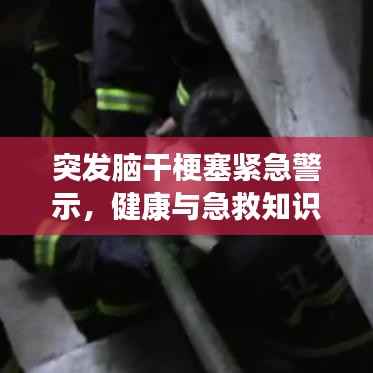 突发脑干梗塞紧急警示,健康与急救知识至关重要