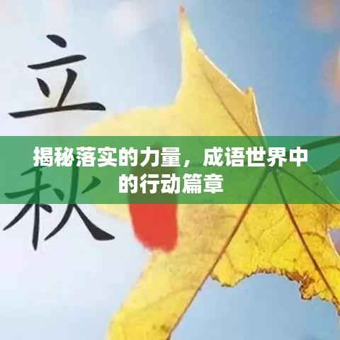 揭秘落实的力量，成语世界中的行动篇章