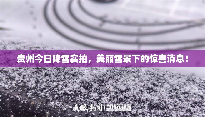 贵州今日降雪实拍,美丽雪景下的惊喜消息!