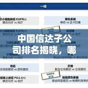 中国信达子公司排名揭晓,哪些子公司脱颖而出?