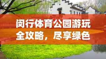 闵行体育公园游玩全攻略，尽享绿色运动盛宴！