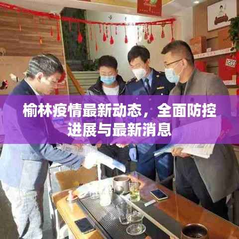 榆林疫情最新动态，全面防控进展与最新消息