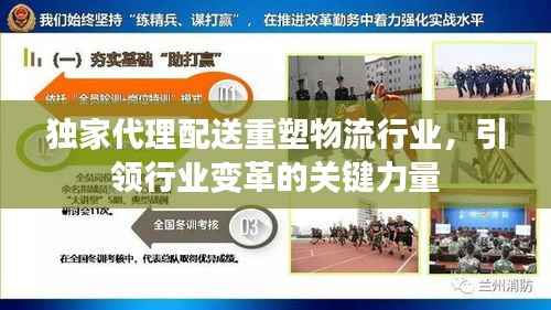 独家代理配送重塑物流行业,引领行业变革的关键力量