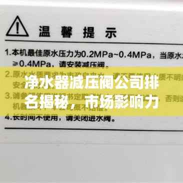 净水器减压阀公司排名揭秘,市场影响力与市场份额的较量!