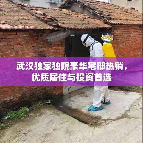 武汉独家独院豪华宅邸热销,优质居住与投资首选