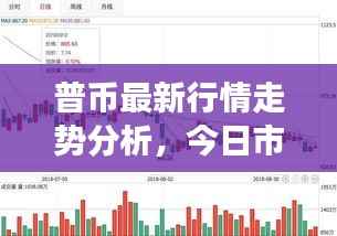 普币最新行情走势分析,今日市场解读