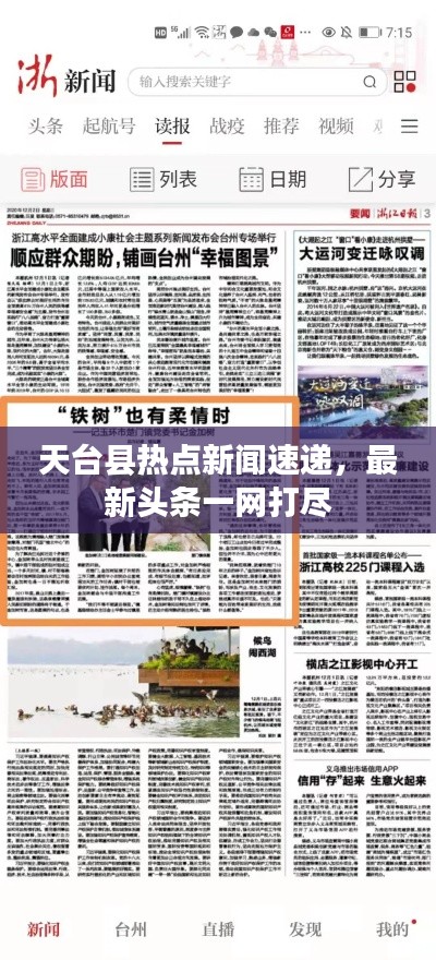 天台县热点新闻速递,最新头条一网打尽