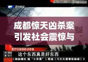 成都惊天凶杀案引发社会震惊与深思