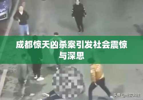 成都惊天凶杀案引发社会震惊与深思