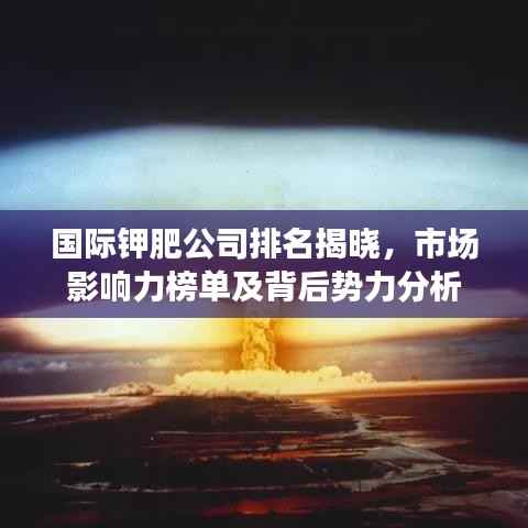 轻飞曼舞 第4页