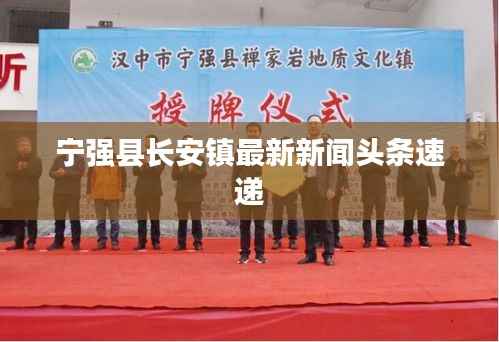 宁强县长安镇最新新闻头条速递