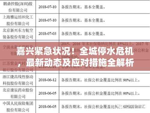 嘉兴紧急状况！全城停水危机，最新动态及应对措施全解析
